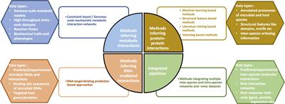 Computational Biology and Machine Learning Approaches to Understand Mechanistic Microbiome-Host Interactions